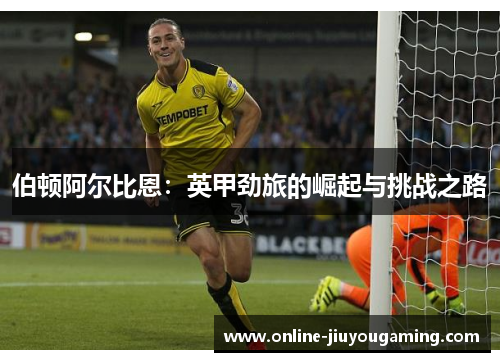 伯顿阿尔比恩：英甲劲旅的崛起与挑战之路