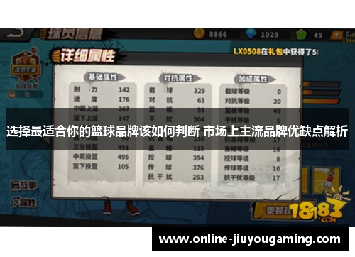选择最适合你的篮球品牌该如何判断 市场上主流品牌优缺点解析